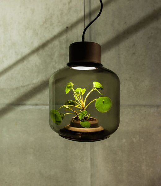 ایده ای برای پرورش گیاه در مکان های بدون پنجره